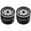 Road Passion 153 Filtro Olio 090549960 444.4.003.4A 444.4.003.5A 444.4.003.8A 444.4.017.1A Compatibile con Ducati 1000 DS 1098 1099 1100 1198 1200 1260 1262 350 400 600 620 696 748 800 900（2 pezzi）