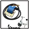 GSC RICAMBI SRL BOBINA ACCENSIONE ESTERNA COMPATIBILE PER PIAGGIO BRAVO - CIAO - GRILLO - VESPA 50-50 SPECIAL - 125 ET3 PRIMAVERA - VESPA PX 125 (1977-1979) - PX 150 (1977-1979) - PX 200 (1977-1979)