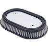 Road Passion Moto Filtri Aria 29400267 Compatibile con Harley Fat Boy FLFBS 114 2018-2020 / Heritage Classic FLHCS 114 2018-2020 / Street Glide CVO FLHXSE 2017-2020