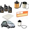 Somer Car KIT TAGLIANDO COMPATIBILE CON FIAT 500 1.3 MULTIJET 75CV 55KW DAL 10/2007 + 3L SELENIA WR 5W30