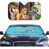 Naispanda Parabrezza per auto con testo personalizzato con foto, Parasole Auto Personalizzato con 1-4 foto per parabrezza per auto camion furgoni