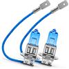 Ruiandsion 2pcs H3 alogena fari lampadina nebbia 100W 12V Xenon bianco 6000K 64151 12336 lampadine
