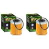 DB PARTS 2 filtri olio compatibili con KTM 525 EXC Racing 2003 2004 2005 2006 2007