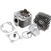 TOP PERFORMANCE 9921630 GRUPPO TERMICO TOP TPR 70CC D.47,6 MINARELLI ORIZZONTALE AC ARIA SP.10 ALLUMINIO