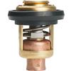 ERINER 6G8-12411 Termostato 60 gradi 140F per motore fuoribordo Yamaha Honda 4 tempi 62Y-12411-00; 677-12411-00