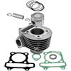 GENERICO CILINDRO EVOK COMPATIBILE CON KYMCO 125CC 52,4MM 2V AGILITY PEOPLE MOVIE