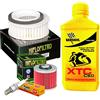 Motocar Tagliando Bardahl XTC 10W50 filtro olio aria candele Yamaha XVS 650 Drag Star