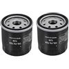 Road Passion Filtri olio 49065-0724 49065-7010 1016467 41016467 126-5234 Compatibile con Kawasaki Club Car Kubota T1460 T1560 T1700H T1770 T1870 TG1860G Robin EH18V EH64 EH65（2 pezzi）