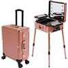 SHZICMY Valigetta cosmetica trolley, con illuminazione e specchio, per il trucco con gambe regolabili, stazione per il trucco professionale con ruote, trolley cosmetico, Colore: rosa., Valigetta per cosmetici