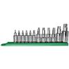 Mayhew Tools 16013 - Set di punte con attacco Torx, con placcatura cromata, 12 pezzi