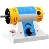 DRAUXI Macchina elettrica for la rettifica di gioielli, strumento for lucidatura pietre preziose, macchina da taglio for giada tavolo multifunzione 350 W Strumenti fai da te