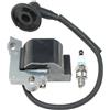 RLFNPHMHX Bobina di accensione for H//I/L/T/I DSH700-x DSH900-X 2133657