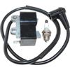 RLFNPHMHX Bobina di accensione for E/c/h/o PB-500 PB-500H PB-500T S/h/i/n/d/a/i/w/a EB508 EB508RT,A040000030 A411000420