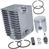pljYocdO Kit cilindro pistone da 45 mm adatto for motore WM80 BS500 BS502 BS502I BS600 BS602 BS602I BS700 BS702 0099336