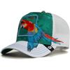 Goorin Bros. Goorin Honduras Macaw Blank, taglia unica