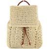 Aisi Zaino da donna in paglia intrecciata all'uncinetto, mini zaino da viaggio con coulisse, borsa a tracolla, grigio