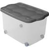 Sicignano Casalinghi Ingrosso Casalinghi Sicignano | Contenitore Organizer Storage Box Scatola Multiuso con Coperchio Colori Assortiti, Plastica Trasparente, Impilabile, Rettangolare - Soggiorno Camera da Letto Vestiti (55 lt, 1)
