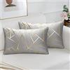 ETOLISHOP Federe Cuscini Divano 30x50 cm in Velluto 2 Copricuscini Divano Soggiorno Federe per Cuscini Moderni Oro Geometrica Fodera per Cuscino Pillowcase per Camera Letto Auto Decorazione Grigio