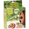 Citronella 10 ZAMPIRONI ALLA CITRONELLA ANTIZANZARE +BOX IN COCCIO 15X5CM