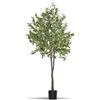 tectake® Albero di Ulivo Artificiale, Foglie Dettagliate con Olive Realistiche, Vaso Stabile in Plastica, Decorazione per Soggiorno, Ufficio e Interni, Facile da Pulire - 180 cm