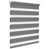 WOLTU Tenda a Rullo per interni Doppio Strato Giorno e Notte, Fissaggio a Morsetto Senza Foratura, Tenda Traslucida Oscurante per Finestra o Porta, 100x130 cm [Larghezza Tessuto: 97 cm], Grigio Scuro