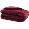 Russo Tessuti Trapunta Piumone Invernale Singolo Matrimoniale Bicolor Doubleface Microfibra-Bordeaux-Singolo