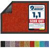 Floordirekt Zerbino Rhine, Lavabile e Resistente, con Retro Antiscivolo, Disponibile in Diverse Misure e Colori (Rosso, 120 cm x 180 cm)