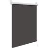 WOLTU Tenda a Rullo Interni Oscurante Klemmfix senza Fori Tenda Avvolgibile Oscurante per Protezione Solare per Finestre e Porte, 120x210 cm [Larghezza Tessuto: 116 cm], Carbone Nero