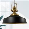 Bamyum Asletl Lampadario a Sospensione Vintage Industriale - 40 cm Diametro, Lampada Nera