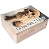 Creative Deco Foto Personalizzata Idea Regalo Scatola di Legno | Personalizzato Scatole dei Ricordi | Per Donna, Uomo e Coppie | Stampa a colori | Per Compleanno, Pasqua, Feste