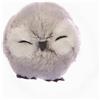 Ciao Gufo Ball Cute (Ø10cm) pupazzo decorazione appendibile, grigio