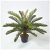 Homescapes, pianta artificiale "Cycas revoluta" con vaso nero, 75 cm