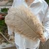 GUOZHAN 10 Pezzi/Lotto Piume di Struzzo Bianche Naturali 15-50 cm Grandi Piume per Decorazioni per la casa e Matrimoni centrotavola da Tavolo Artigianato