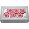 FORTTS Rosa conservata di grado A 5-6 cm, rose eterne naturali di alta qualità, rosa immortale dura da 3 a 5 anni, per mamma, San Valentino, regali di compleanno, matrimonio, decorazione per casa, feste, fai