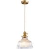 S-Cevada Mini 1-Luce Lampadario a Sospensione in Vetro con E27 Presa in Ottone, Lampada a Sospensione a Soffitto Vintage per Cmera da pranzo, Camera da letto, Cucina (Trasparente, 18cm)