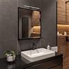 HAJDUK FURNITURE Nero Specchio da Bagno con Illuminazione LED 4000K IP44 H:70 x L:60 cm - Specchio da Parete con Ripiani - Colore della custodia LED: Nero