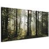 murando Quadro Bosco 225x90 cm 5 pezzi Stampa su tela XXL Immagini moderni Murale Fotografia Grafica Decorazione da parete Bosco Foresta Natura Panorama Albero c-B-0288-b-m