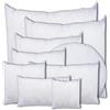 Cieffepi Home Collections Anime Imbottiture per Cuscini Arredo in varie forme e misure (80x80)