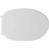 Dianhydro Copriwater Coprivaso Tavoletta SEDILE WC PER VAVID VASO AMERICA BIANCO