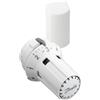 Danfoss RAW 5012 - Testa termostatica con sensore remoto 013G5012