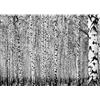 Runa Art Carta da parati fotografica 396 x 280 cm bosco di betulle | Vello Decorazione Murale Soggiorno Camera Da Letto | Manifattura tedesca | Bianco e nero 9477012c