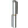 Aldeghi Cerniera 2 ali a saldare inox mm 21x120