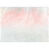 murando - Carta da Parati Moderna Piume Colori Pastello 400x280 - Murales per Camera da Letto Ragazza - Fotomurali in TNT Decorazione da Muro - Carte da Parati concreto Boho Bianco Rosa b-C-10182-a-c