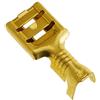 Cormar Terminale elettrico femmina piatta 6,3 mm Kit 500 pz