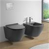 Inbagno Coppia Sanitari Sospesi Tokyo Rimless Grigio Opaco WC E Bidet Con Sedile Soft-Close