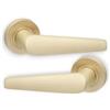 Infinity Decor Coppia di eleganti maniglie a leva su rosetta in ottone satinato, adatte per porte interne ed esterne