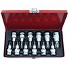 GrecoShop SET CHIAVE A BUSSOLA TORX T20-T80 13 PEZZI CHROME VANADIUM
