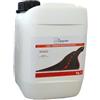Color Point VERNICE SPARTITRAFFICO PER SEGNALETICA STRADALE 5 KG. COLORE ROSSO