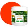 BOX DECO COULEURS Pittura naturale ecologica per interni esterni effetto velluto Natura - 2,5 l/33 m² [classe energetica A+], arancione