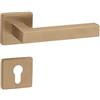 Gedotec Maniglia per porta in ottone spazzolato | 1 set | Set | Rosetta su rosette quadrate | KARAT | Cilindro profilo PZ | Maniglia interna per porta | Maniglia per porta con materiale di fissaggio